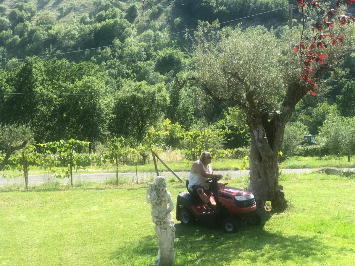 Villa Iannetta Di Monte Cassino Belmonte Castello Zewnętrze zdjęcie