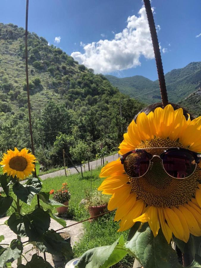 Villa Iannetta Di Monte Cassino Belmonte Castello Zewnętrze zdjęcie