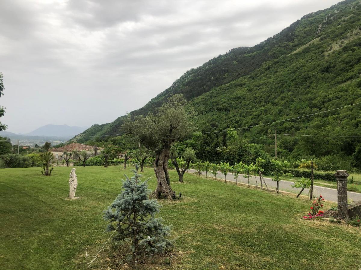 Villa Iannetta Di Monte Cassino Belmonte Castello Zewnętrze zdjęcie