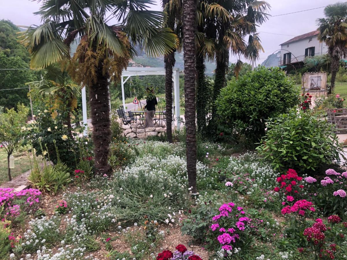 Villa Iannetta Di Monte Cassino Belmonte Castello Zewnętrze zdjęcie